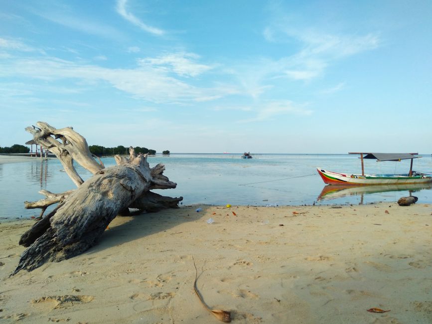 Bukan Cuma Pantai: 5 Tren Wellness di Bali yang Akan Meledak 2026